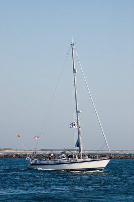 IMG_7611.jpg