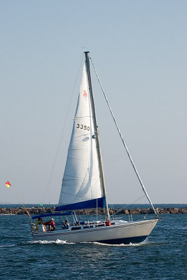 IMG_7636.jpg