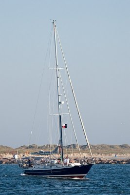 IMG_7645.jpg