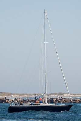 IMG_7653.jpg