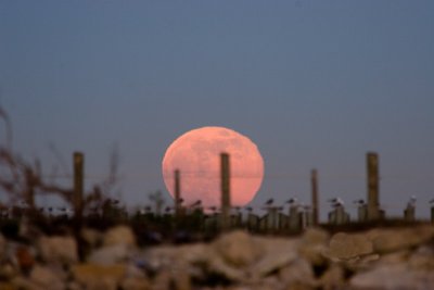 Moonrise from Seabrook TX, December 12 2008