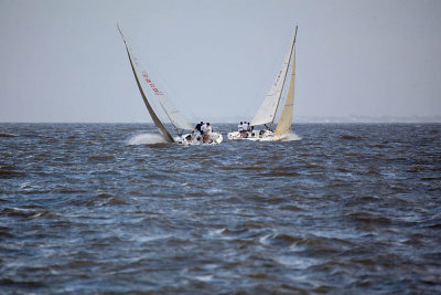 IMG_4521.jpg