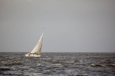 IMG_4603.jpg