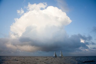 IMG_4650.jpg