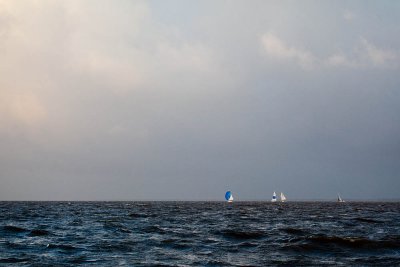 IMG_4661.jpg