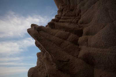 IMG_7410.jpg