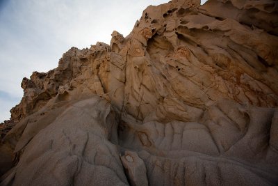 IMG_7419.jpg