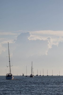 IMG_1372.jpg