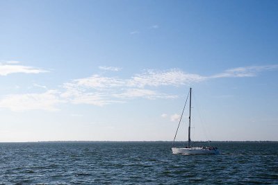 IMG_1391.jpg