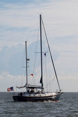IMG_1396.jpg