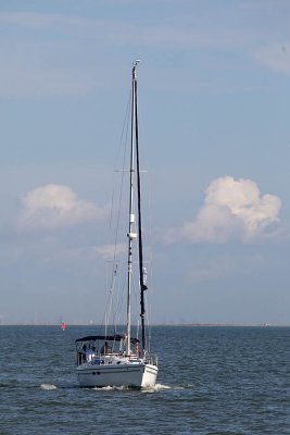 IMG_1401.jpg