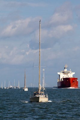 IMG_1409.jpg