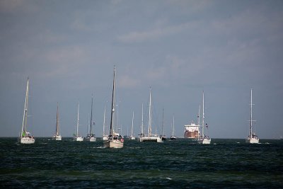 IMG_1457.jpg