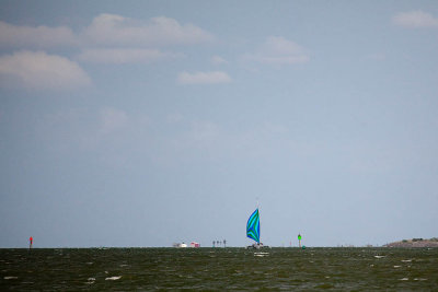 IMG_1553.jpg