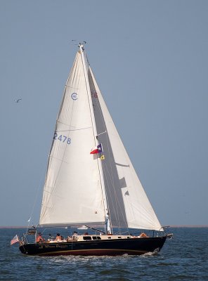 IMG_5153.jpg