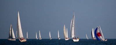 IMG_5167.jpg