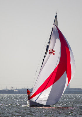 IMG_5178.jpg