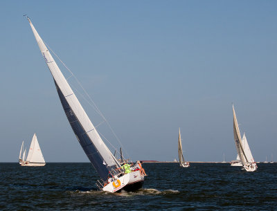 IMG_5235.jpg