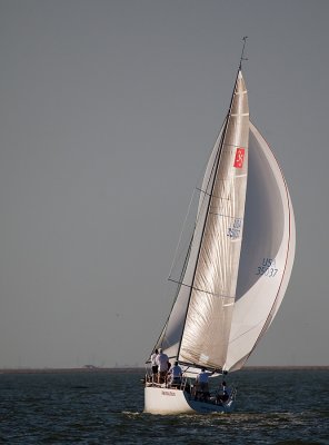 IMG_5287.jpg