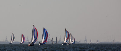 IMG_5308.jpg