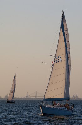 IMG_5382.jpg