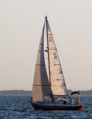 IMG_5394.jpg