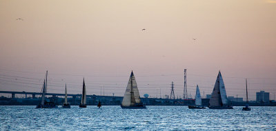 IMG_5478.jpg