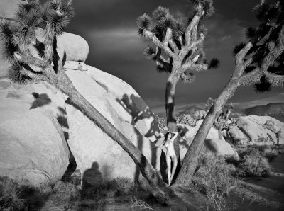 _MG_2610.jpg