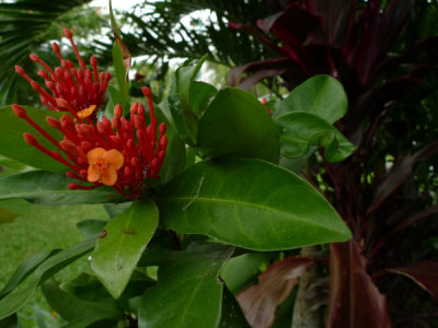 g1/01/53301/3/127431456.k1cJdEeL.jpg