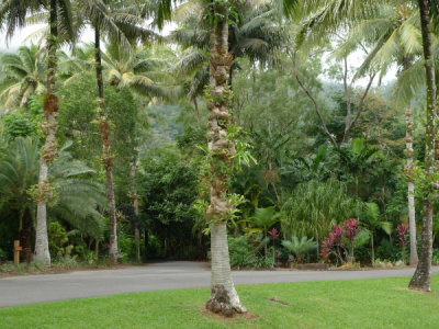 g1/01/53301/3/127431457.Pw7Vm4ov.jpg