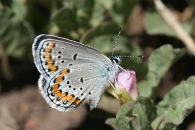 g1/01/566101/3/113782298.NHAIGKKE.jpg