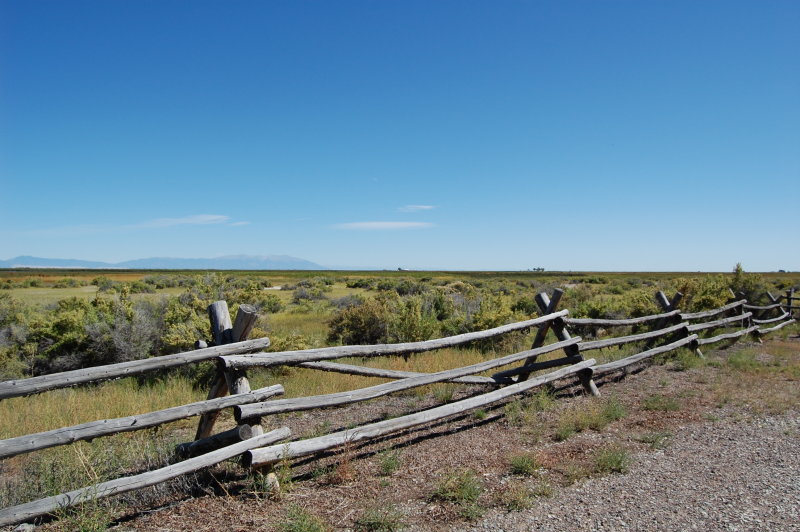 San Luis Valley Fence Line