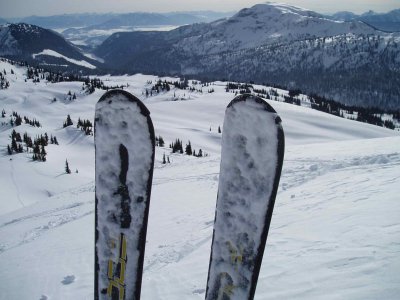 ski tips