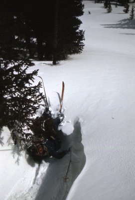 Cutting the tree a bit close