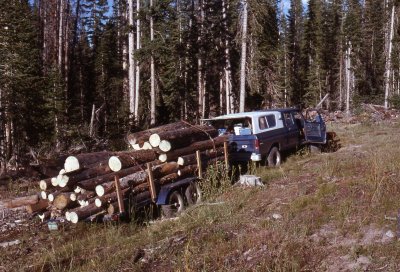 Recreational logging for fire wood