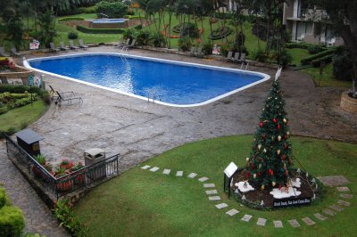 Christmas Tree at the San Jose Costa Rica motel pool