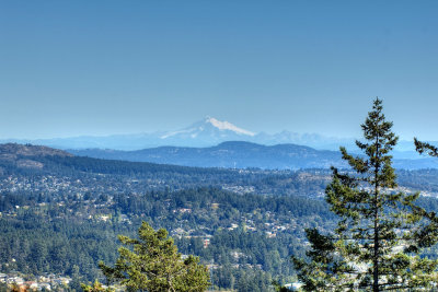 MtBakerMillHill1.jpg