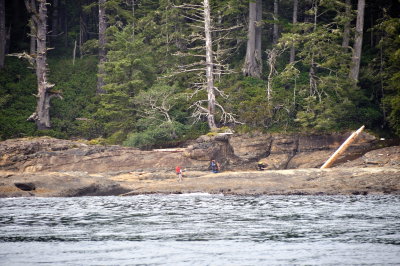 Hikers on the famous West Coast Trail of Vancouver Island