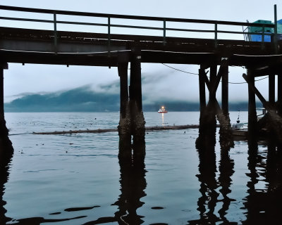 Canadian Coast Guard in Port Renfrew.