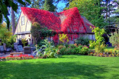Ivy Cottage in my neighborhood