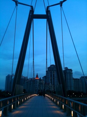 Tanjong Rhu Bridge