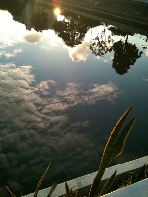 Sky reflection