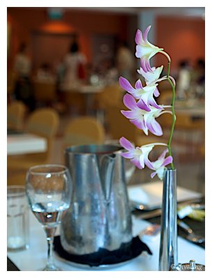 20101128_09-51-51.jpg