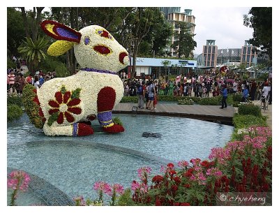 The rabbit that is made of flowers