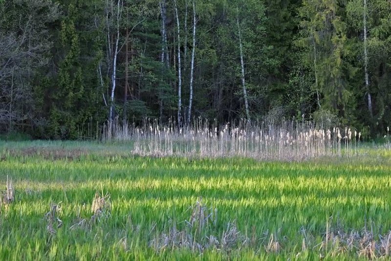 Stokkevann, Bamle, Telemark