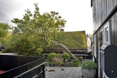 Old Houses, Thorshavn, Faroe Islands