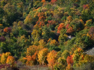 AUTUMN SCENARIES IN ABRUZZO - SCENARI D'AUTUNNO IN ABRUZZO