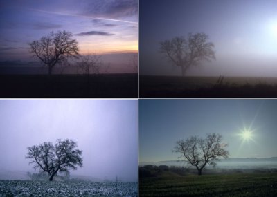 The Seasons of Winter - Le stagioni dell'inverno