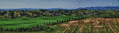 Hills of Siena landscape