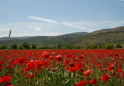 Capestrano, may 2008